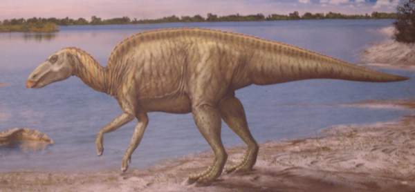 Edmontosaurus
