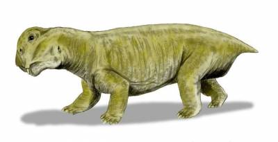 Lystrosaurus