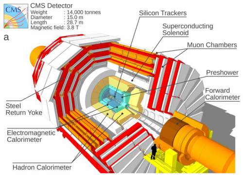 Detectorul Compact Muon Solenoid