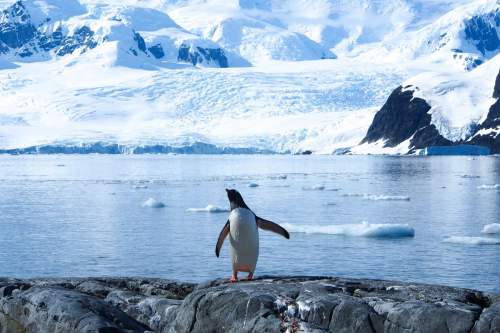 Calota de gheață din Antarctica