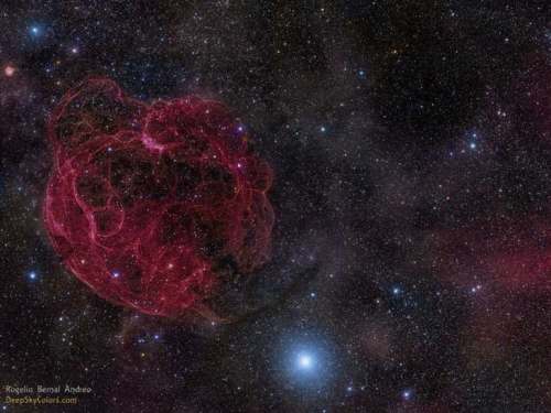 Explozii rapide de unde radio