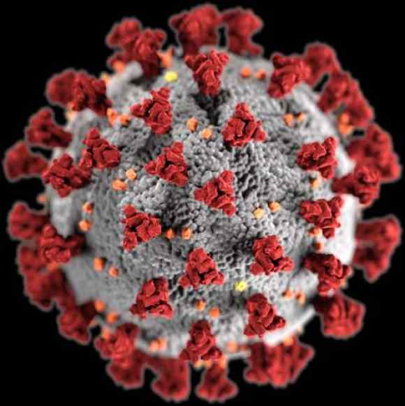 Particulă de coronavirus