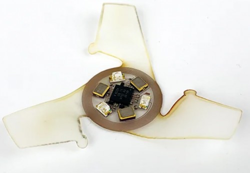Microcip cu aripi translucide având antenă și senzori
