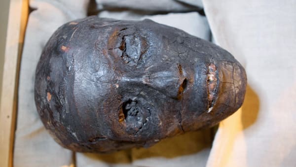 Capul mumificat al faraonului Tutankhamon