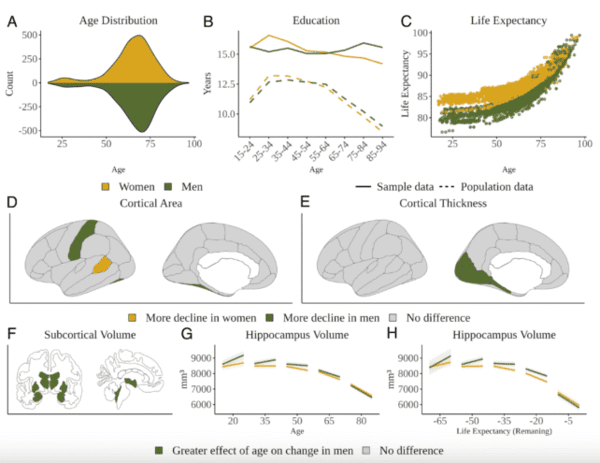 Diferente intre barbati si femei